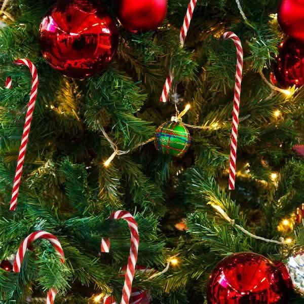 10-Piece: Plastic Candy Cane Ornaments