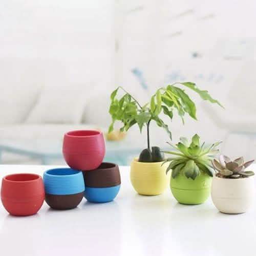 2-Pack: Plastic Plant Flower Pots