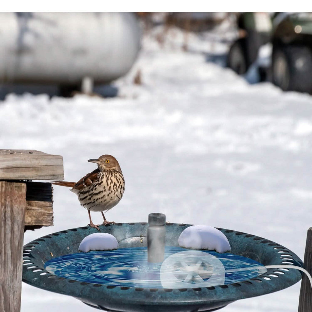 70W Bird Bath Deicer Aluminum Alloy Water Heater with Thermostat Auto Shutdown