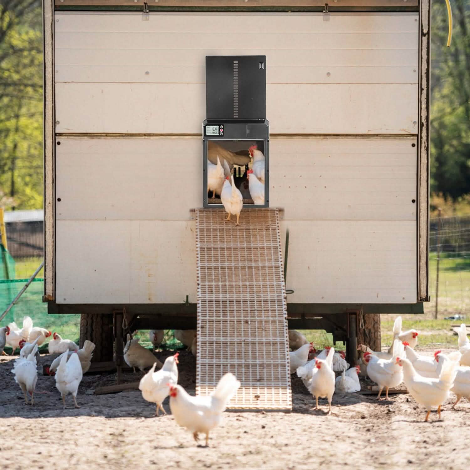 Automatic Chicken Coop Door with Timer Setting