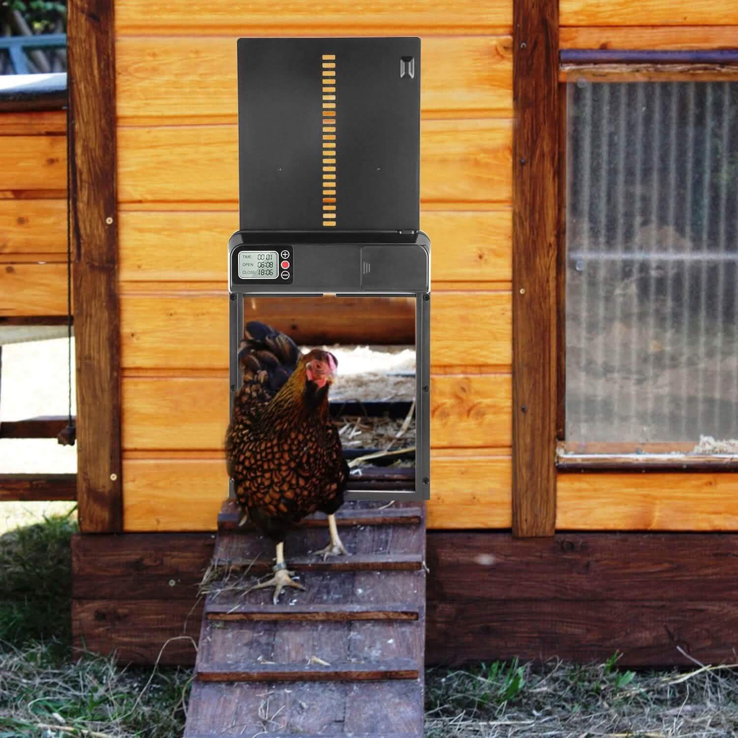 Automatic Chicken Coop Door with Timer Setting